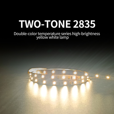 120LEDs নমনীয় SMD 2835 LED স্ট্রিপ লো ভোল্টেজ 12V / 24V রিমোট কন্ট্রোল টাইপ